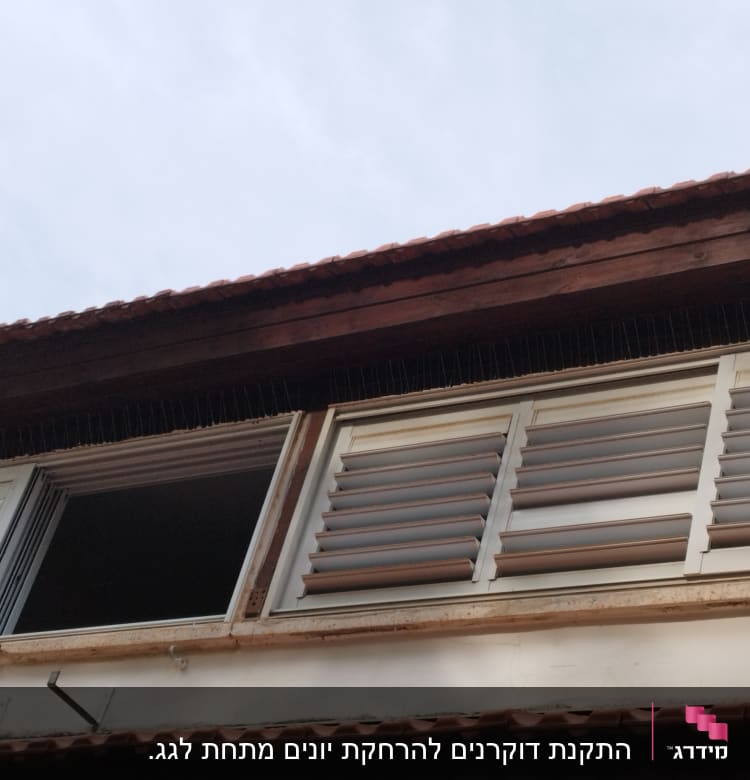 חלון עם סורגים למניעת כניסת יונים